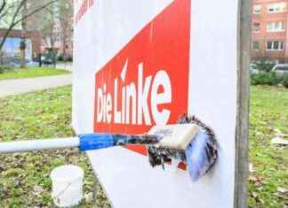 Grüne Partei wirbt um Wechselwähler: Gefahr von Links entdeckt grne-partei-wirbt-um-wechselwhler-gefahr-von-links-entdeckt