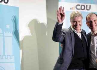Hamburg-Wahl: FDP und AfD Stimmen sind verloren – Analyse hamburg-wahl-fdp-und-afd-stimmen-sind-verloren-analyse
