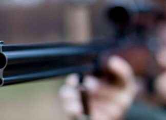 Jäger tötet kranken Waschbären in Großeinsatz jger-ttet-kranken-waschbren-in-groeinsatz