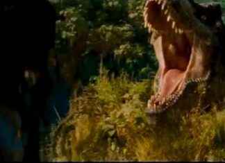 Jurassic World Rebirth: Offizieller Kino-Trailer – Video – WELT jurassic-world-rebirth-offizieller-kino-trailer-video-welt