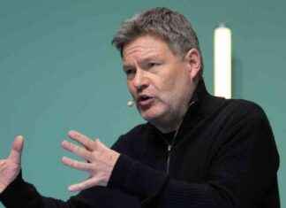 Kritik an Robert Habecks Zehn-Punkte-Plan: Grüne Jugend löscht Beitrag kritik-an-robert-habecks-zehn-punkte-plan-grne-jugend-lscht-beitrag