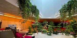 Malerei von Melanie Loureiro im KIT Düsseldorf – Ausstellungshighlights in Düsseldorf malerei-von-melanie-loureiro-im-kt-dsseldorf-ausstellungshighlights-in-dsseldorf