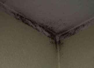 Mieterhilfe: Alle Infos zur Sendung SAT.1 NRW mieterhilfe-alle-nfos-zur-sendung-sat1-nrw