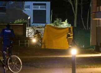 Mord in Voerde: Polizei jagt flüchtigen Täter mord-in-voerde-polizei-jagt-flchtigen-tter