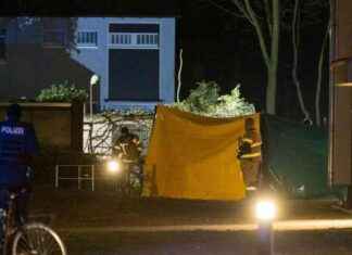 Mutmaßlicher Femizid in Voerde: Mann ersticht Partnerin vor ihrem Haus mutmalicher-femizid-in-voerde-mann-ersticht-partnerin-vor-ihrem-haus