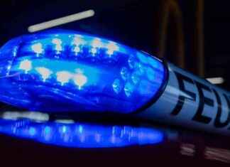 Nachbarn und Passanten helfen bei Brand mit eigener Leiter – Gemeinschaftliche Unterstützung bei Feuerbekämpfung nachbarn-und-passanten-helfen-bei-brand-mit-eigener-leiter-gemeinschaftliche-untersttzung-bei-feuerbekmpfung