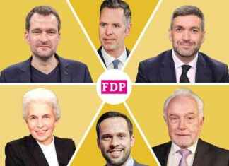 Neuausrichtung der FDP: Geld als entscheidender Faktor neuausrichtung-der-fdp-geld-als-entscheidender-faktor