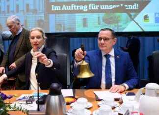 Neue AfD-Fraktion im Bundestag: Alles, was Sie wissen müssen neue-afd-fraktion-im-bundestag-alles-was-sie-wissen-mssen