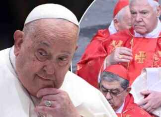 Neuer Papst: Deutscher Kardinal Favorit nach Franziskus’ Erkrankung neuer-papst-deutscher-kardinal-favorit-nach-franziskus-erkrankung