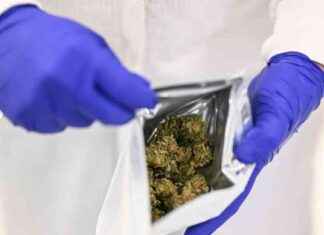 Investieren in Cantourage: Chancen für mutige Anleger im Cannabismarkt nvestieren-in-cantourage-chancen-fr-mutige-anleger-im-cannabismarkt