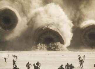 Oscar-Nominierungen 2025: Die Favoriten und Überraschungen oscar-nominierungen-2025-die-favoriten-und-berraschungen