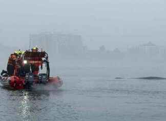 Polnische Retter retten Buckelwal aus Fischernetz polnische-retter-retten-buckelwal-aus-fischernetz