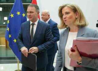 Regierung in Wien ohne FPÖ: Österreich ein Positivbeispiel regierung-in-wien-ohne-fp-sterreich-ein-positivbeispiel