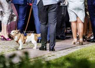 Reichtum und Einkommen: Merz und Söder im Fokus reichtum-und-einkommen-merz-und-sder-im-fokus