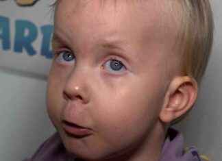 Renovierung des Hauses: Kleiner Richard sucht Unterstützung | SAT.1 NRW renovierung-des-hauses-kleiner-richard-sucht-untersttzung-sat1-nrw