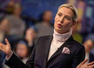 Riesenspende an AfD: Partei droht Millionenstrafe riesenspende-an-afd-partei-droht-millionenstrafe