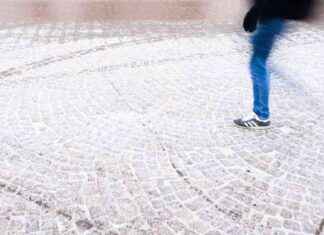 Schneefall in Schleswig-Holstein am Donnerstag schneefall-in-schleswig-holstein-am-donnerstag