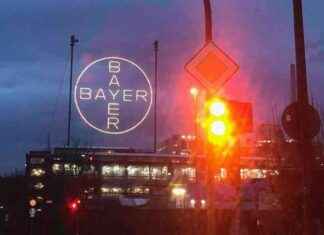 SEO-freundlicher Titel: Alles über den Wahlkampf in Leverkusen: Kleine graue Maus seo-freundlicher-titel-alles-ber-den-wahlkampf-in-leverkusen-kleine-graue-maus