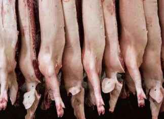 Steigerung der deutschen Fleischproduktion nach vorherigem Rückgang steigerung-der-deutschen-fleischproduktion-nach-vorherigem-rckgang