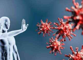 Stärken Sie Ihre Abwehrkräfte gegen die Grippewelle strken-sie-hre-abwehrkrfte-gegen-die-grippewelle