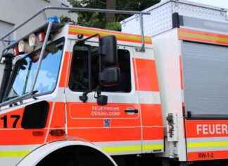 Teil-Einsturz einer Zwischendecke in Düsseldorf Eller: Schreck für Bewohner teil-einsturz-einer-zwischendecke-in-dsseldorf-eller-schreck-fr-bewohner