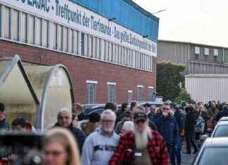 Tierhandlung Zoo Zajac vor dem Ausverkauf: Großer Räumungsverkauf tierhandlung-zoo-zajac-vor-dem-ausverkauf-groer-rumungsverkauf