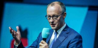 umfragen-bundestagswahl-union-bei-30-prozent-linke-mit-zugewinnen
