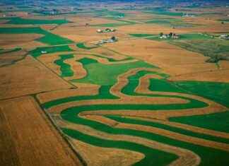 US-Landwirte steigern Einkommen durch Airbnb-Vermietung us-landwirte-steigern-einkommen-durch-airbnb-vermietung