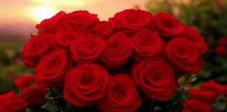 Valentinstag in Nordrhein-Westfalen | SAT.1 NRW – Sendungsinfo valentinstag-in-nordrhein-westfalen-sat1-nrw-sendungsinfo