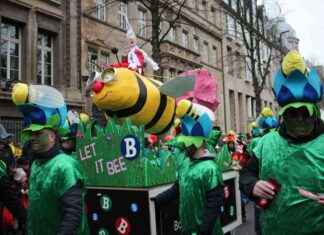 Veedelszöch 2025 in Düsseldorf – Alle Informationen und Termine – Ddorf-Aktuell veedelszch-2025-in-dsseldorf-alle-nformationen-und-termine-ddorf-aktuell