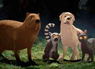 Warum ist die Kategorie für internationale Filme bei den Oscars kaputt? warum-ist-die-kategorie-fr-internationale-filme-bei-den-oscars-kaputt