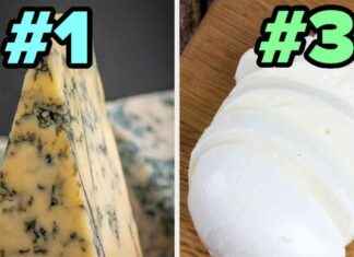 Welcher Käse ist der König? welcher-kse-ist-der-knig