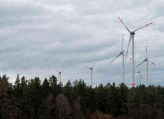Windkraftanlagen im Wald: Kontroverse Diskussion über erneuerbare Energien – Video – WELT windkraftanlagen-im-wald-kontroverse-diskussion-ber-erneuerbare-energien-video-welt