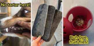 35 Produkte, die überraschend gut funktionieren und wenig kosten 35-produkte-die-berraschend-gut-funktionieren-und-wenig-kosten