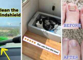 39 Tipps und Tricks für schnelle Erfolge: Es wird sich anfühlen wie Betrug 39-tipps-und-tricks-fr-schnelle-erfolge-es-wird-sich-anfhlen-wie-betrug