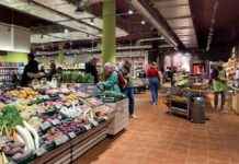 Alnatura Düsseldorf: Großer Bio-Supermarkt in Derendorf – Öffnungszeiten und Standort alnatura-dsseldorf-groer-bio-supermarkt-in-derendorf-ffnungszeiten-und-standort