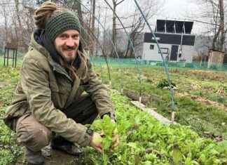 Autark leben: Freiheit durch Selbstversorgung in Deutschland autark-leben-freiheit-durch-selbstversorgung-in-deutschland