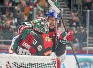 Überleben der Panther in der Wildnis: Eine Bestandsaufnahme berleben-der-panther-in-der-wildnis-eine-bestandsaufnahme