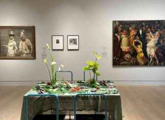 Blumenpracht im Kunstpalast Düsseldorf: Entdecken Sie die blühende Schönheit – Ddorf-Aktuell blumenpracht-im-kunstpalast-dsseldorf-entdecken-sie-die-blhende-schnheit-ddorf-aktuell