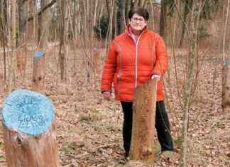 Corona in Augsburg: Der Schmerz der Hinterbliebenen nach fünf Jahren corona-in-augsburg-der-schmerz-der-hinterbliebenen-nach-fnf-jahren