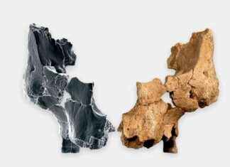 Das älteste Gesicht Westeuropas: Pink vorgestellt das-lteste-gesicht-westeuropas-pink-vorgestellt