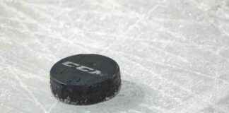 deg-unterliegt-fishtown-pinguins-mit-15-in-dsseldorf-spielbericht