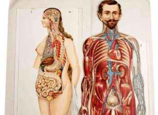 Der Patientinnen-Aufstand: Geschlechterungleichheit in der Medizin der-patientinnen-aufstand-geschlechterungleichheit-in-der-medizin