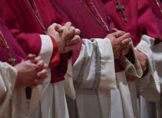 Deutsche Bischöfe unterstützen Wahlkampf: Was Sie wissen sollten deutsche-bischfe-untersttzen-wahlkampf-was-sie-wissen-sollten