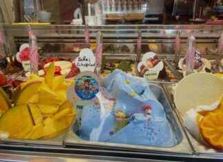 Eiscafés in Düsseldorf: Preise für eine Kugel Eis im Jahr 2025 eiscafs-in-dsseldorf-preise-fr-eine-kugel-eis-im-jahr-2025