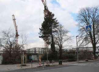 Gestaltung des Platzes in der Paulsmühle – Düsseldorf-Aktuell gestaltung-des-platzes-in-der-paulsmhle-dsseldorf-aktuell