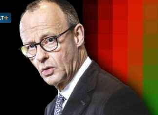 Grüne regieren bald wieder mit: Druck auf Merz und die SPD – WELT grne-regieren-bald-wieder-mit-druck-auf-merz-und-die-spd-welt