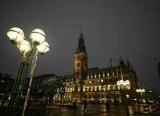 Hamburg Bürgerschaftswahl: Tschentschers Fokus auf Rot-Grün Koalition hamburg-brgerschaftswahl-tschentschers-fokus-auf-rot-grn-koalition