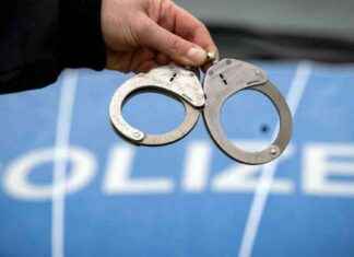 Kriminalitätsstatistik 2024: Gesellschaftlicher Überblick durch Statistik analysiert kriminalittsstatistik-2024-gesellschaftlicher-berblick-durch-statistik-analysiert