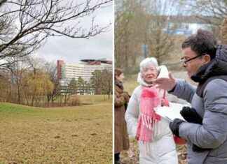 Kritik am Uniklinik-Neubau: Parkabholzung als Frevel kritik-am-uniklinik-neubau-parkabholzung-als-frevel